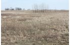 Property photo 9 - 194.67 Acres Offered in 2 Tracts